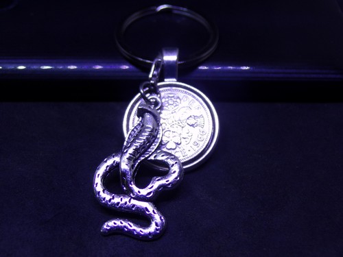 Lucky sixpence keyring snake - keyring,